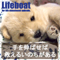NPO法人犬と猫のためのライフボート～手を伸ばせば救えるいのちがある～